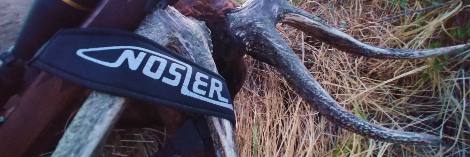 Nosler