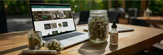 How to Build Your Cannabis E-commerce Empire Without Paid Social & Search